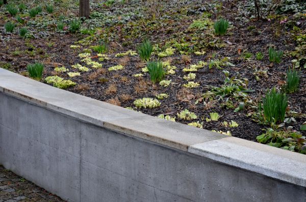 Retaining Wall Crack Repair