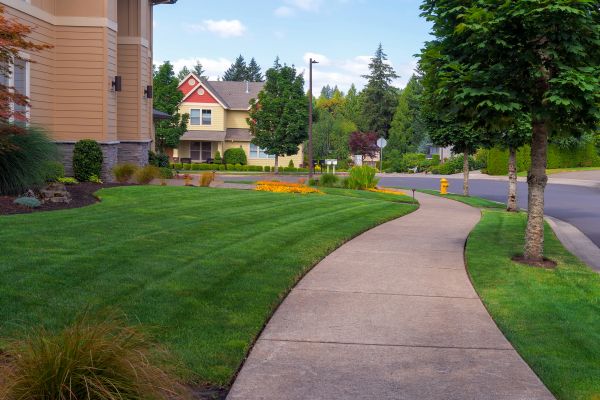 Sidewalk Patching in Longmont