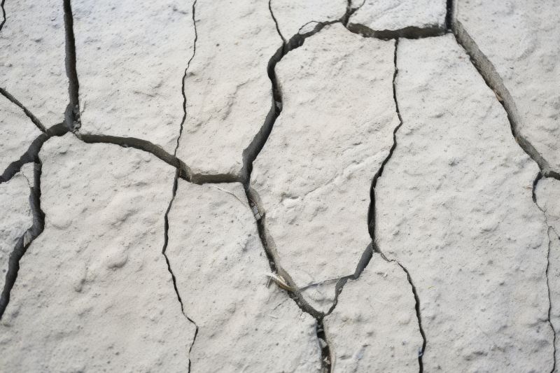 Cracked Concrete Surface